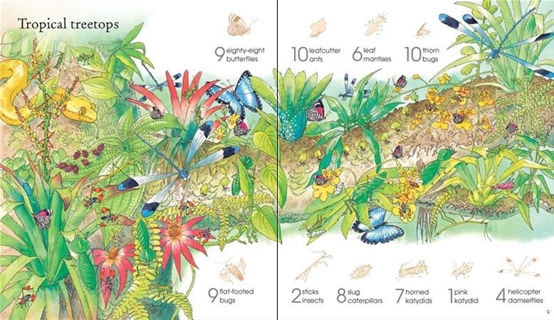 1001 Bugs to Spot Sticker Book by Usborne 1