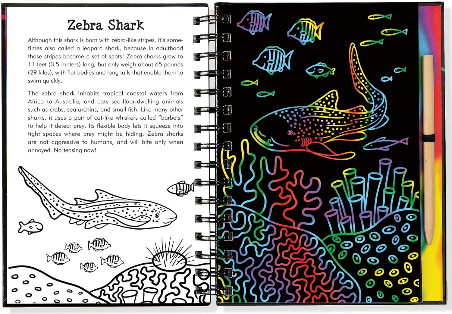 Scratch & Sketch Sharks by Peter Pauper Press