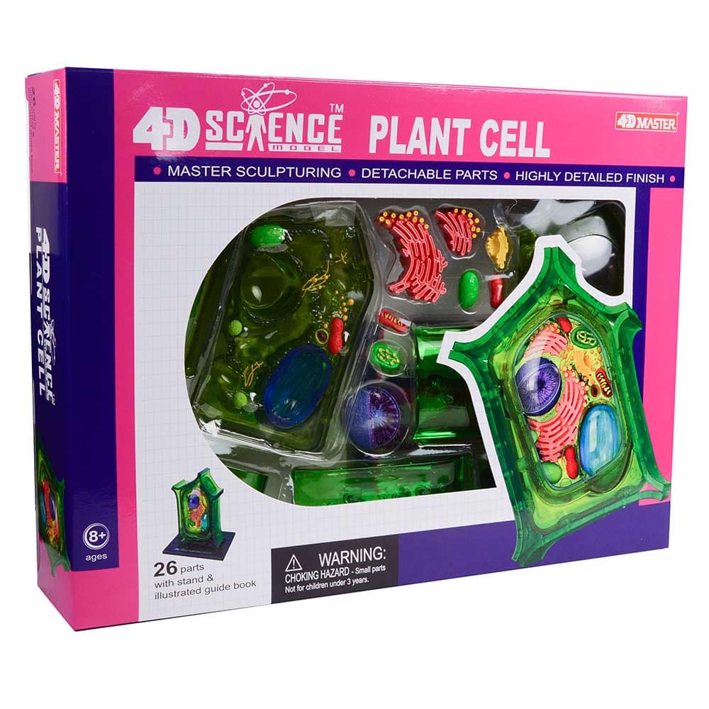 4D Science Plant Cell Model by TEDCO