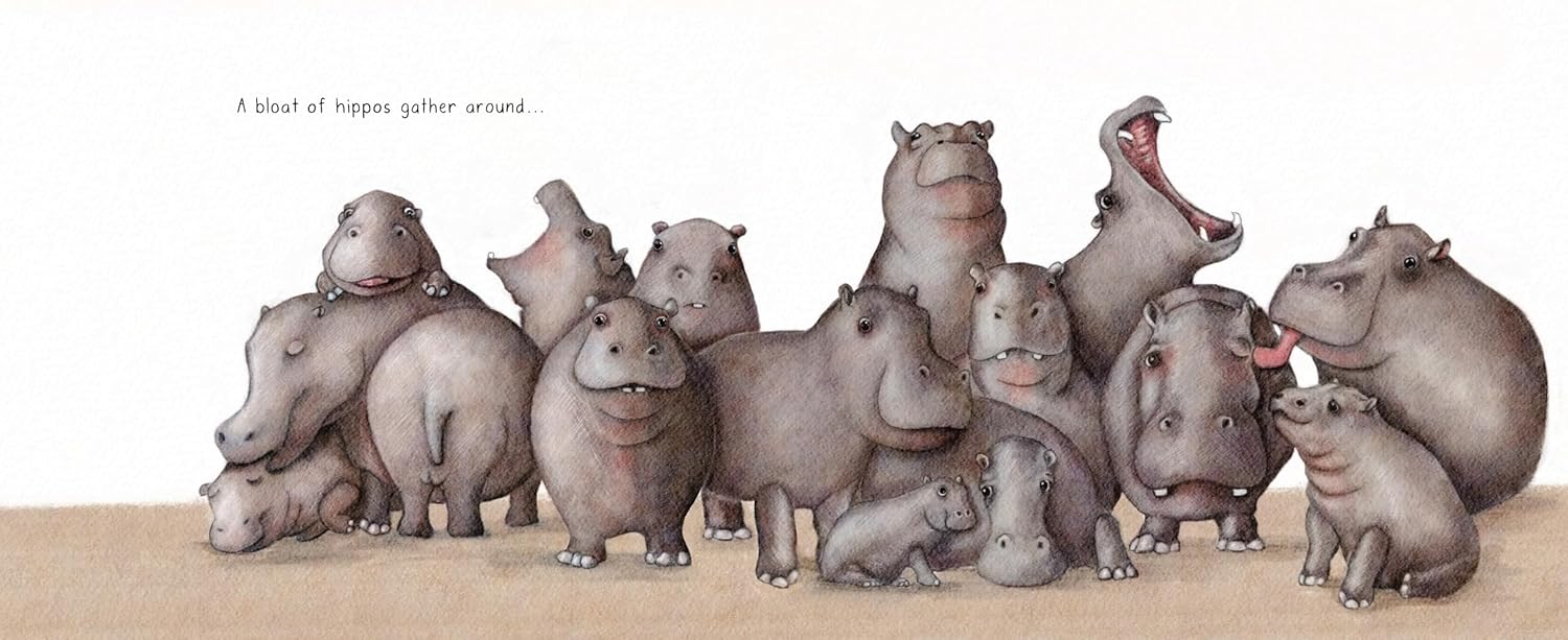 A Sleuth of Bears and Other Amusing, Beguiling, and Peculiar Collective Nouns by Chronicle Books