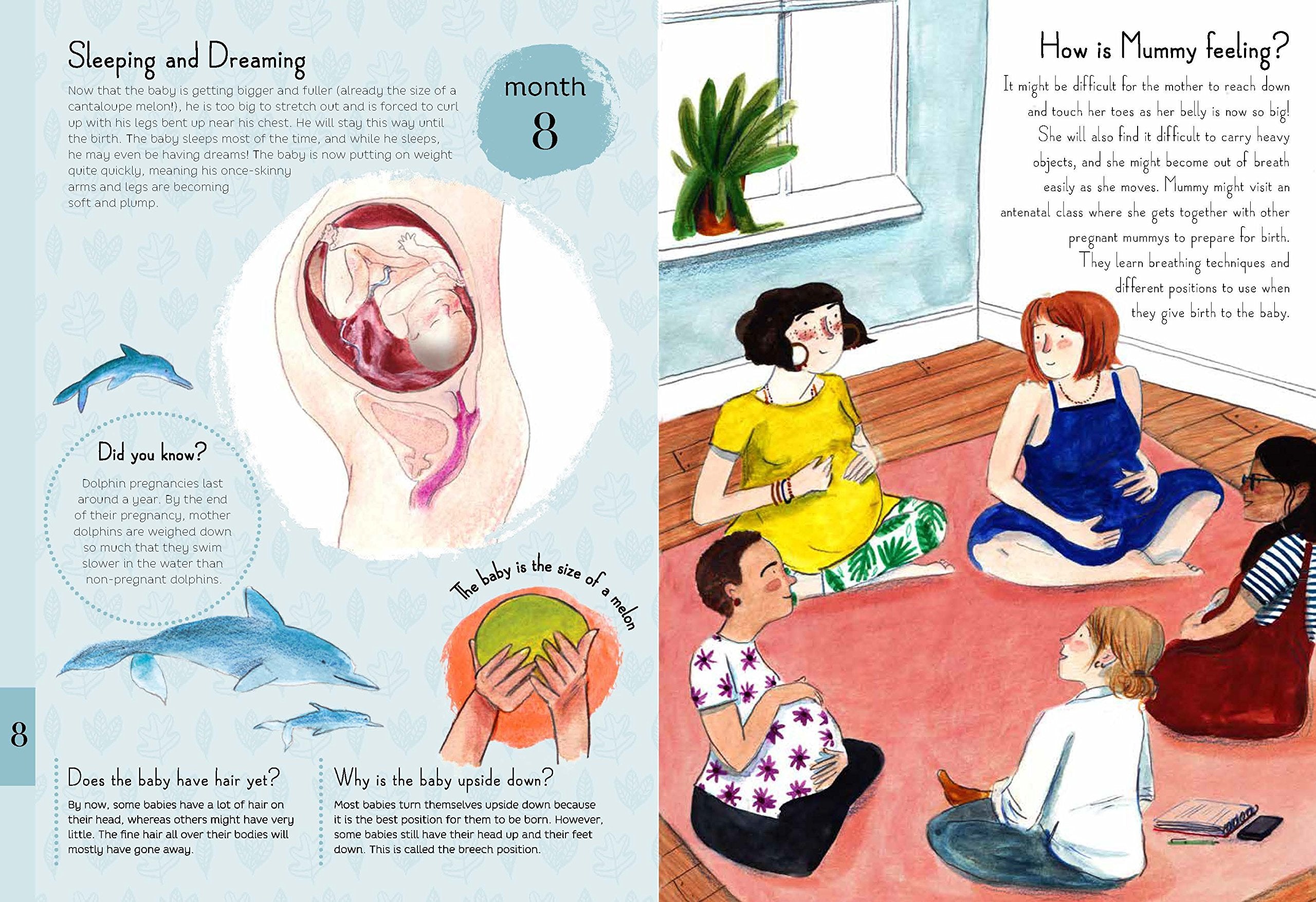 9 Months A Month by Month Guide to Pregnancy for the Family to Share by Quarto Publishing 3