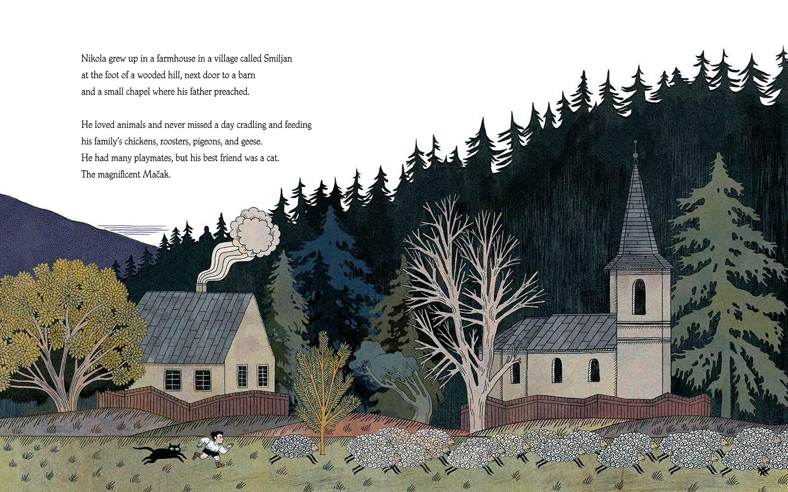 A Life Electric The Story of Nikola Tesla by Penguin Random House 2