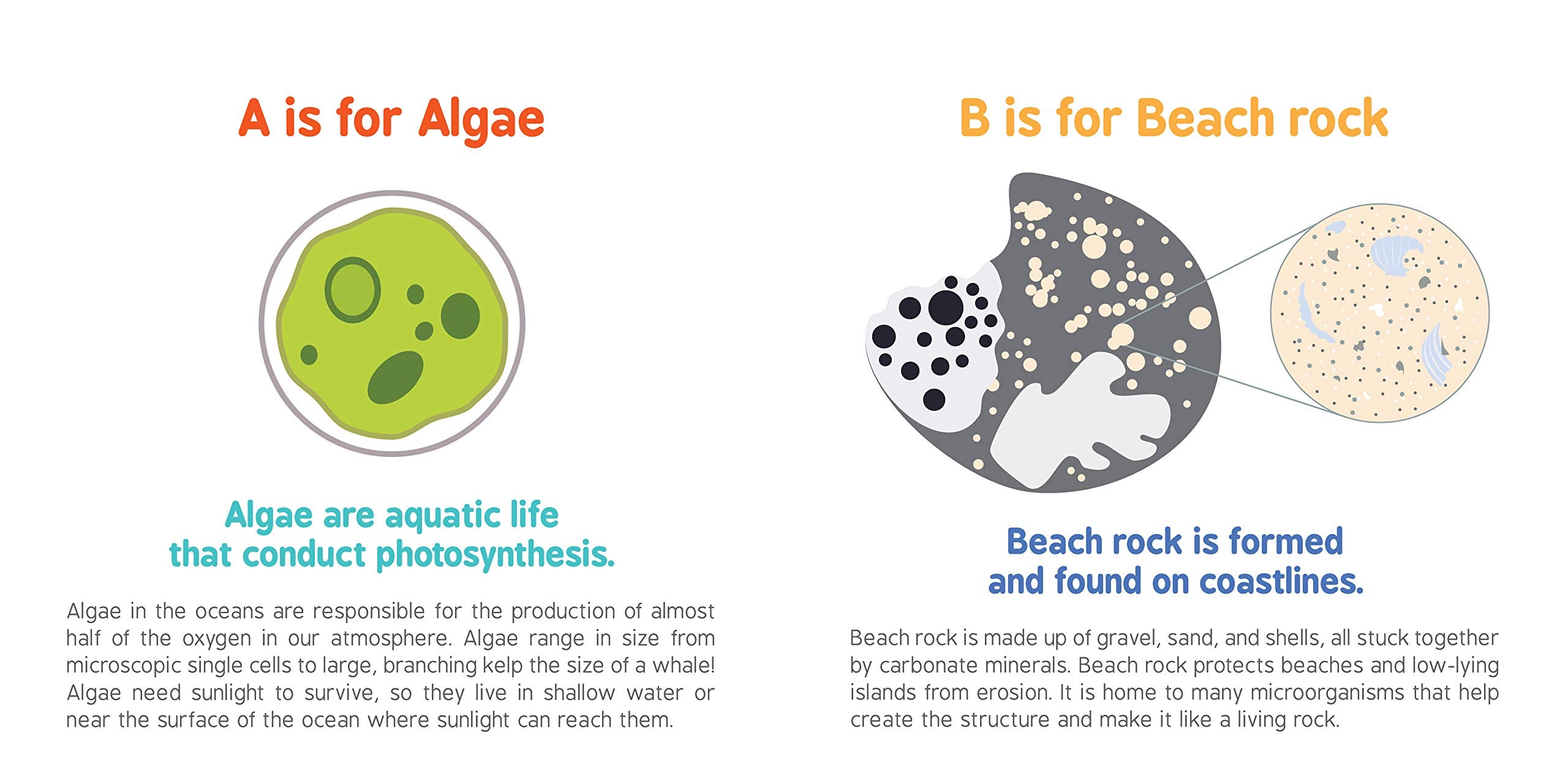 ABCs of Oceanography by Sourcebooks 1