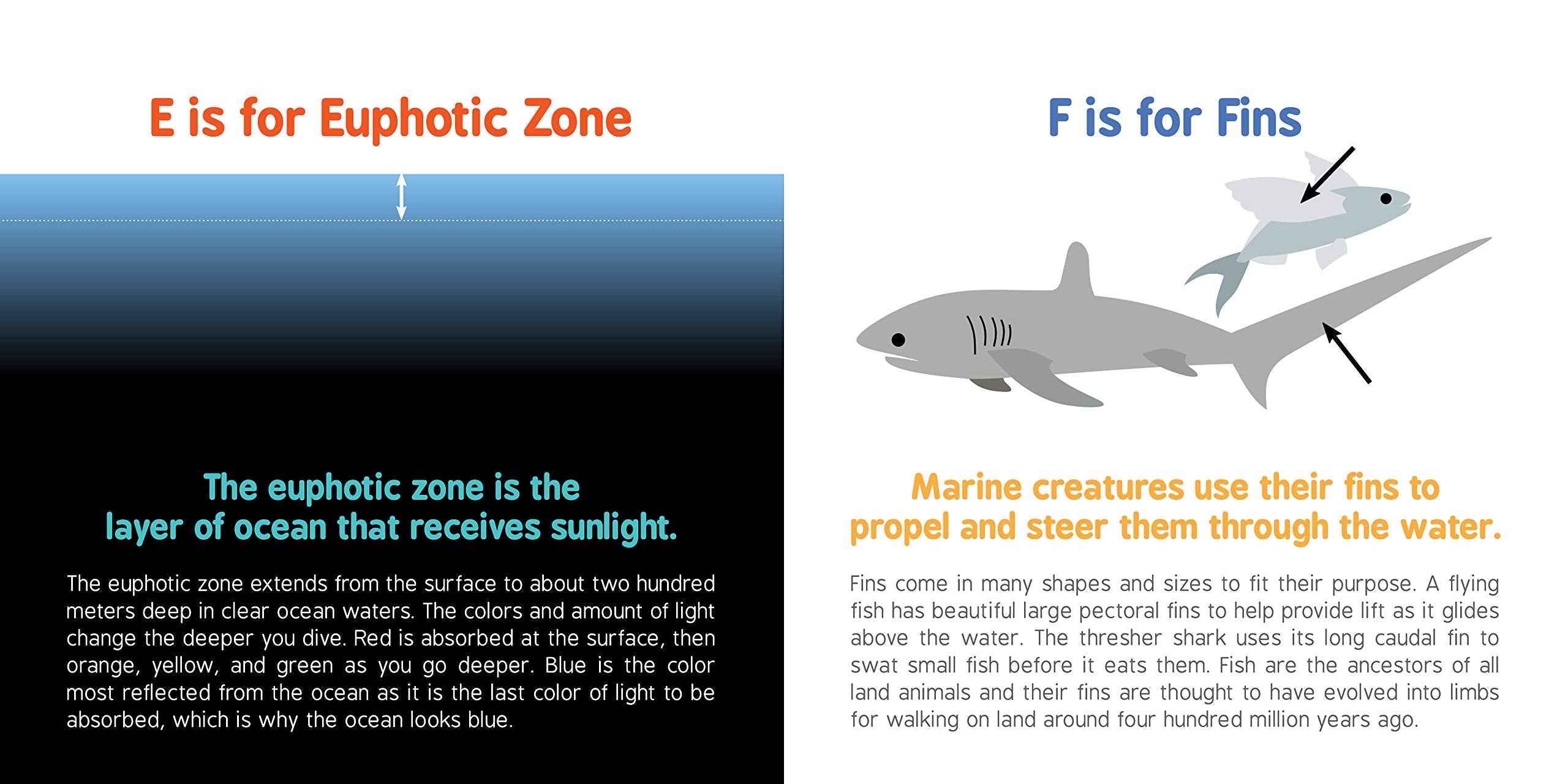 ABCs of Oceanography by Sourcebooks 3