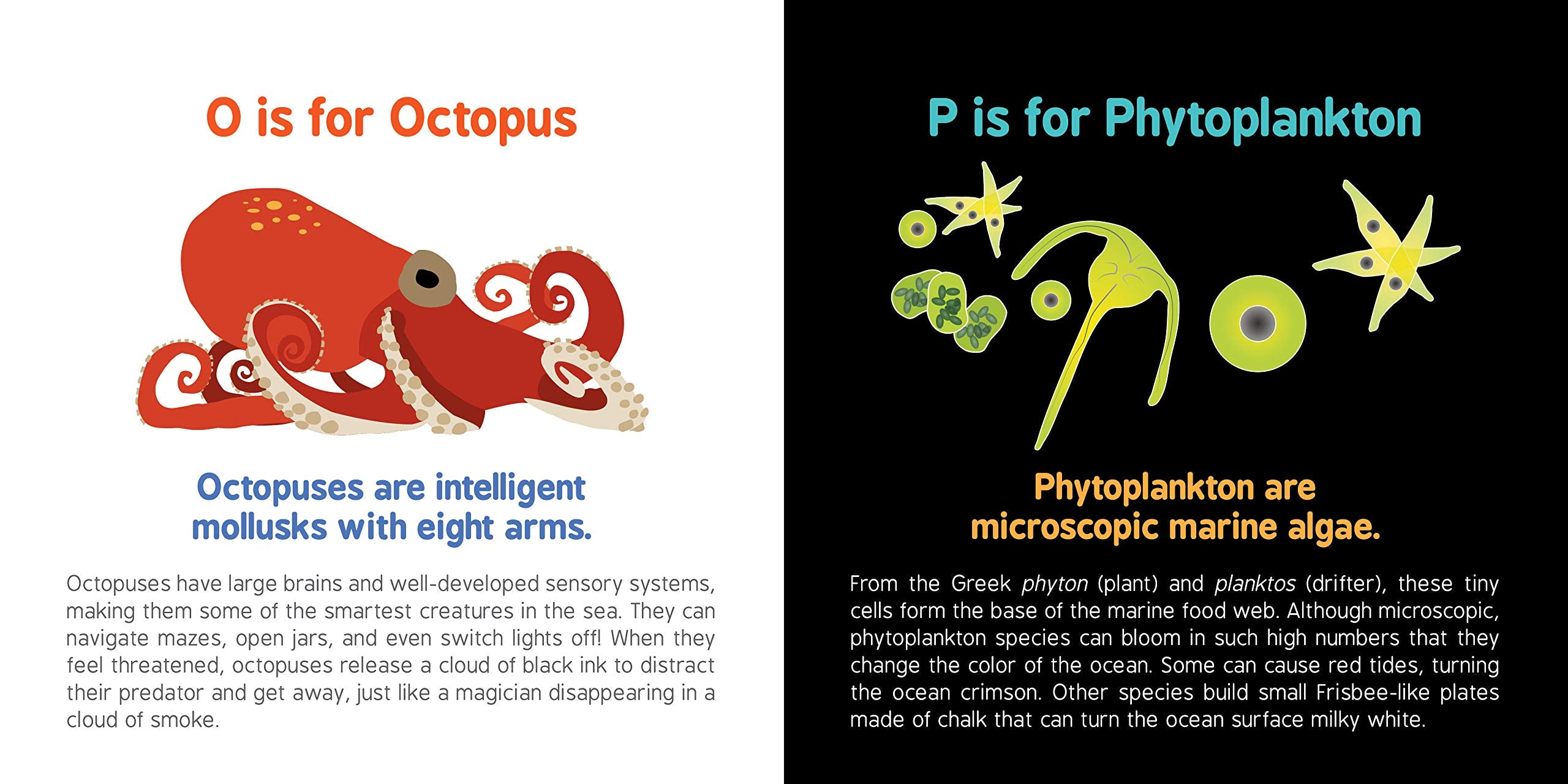 ABCs of Oceanography by Sourcebooks 8