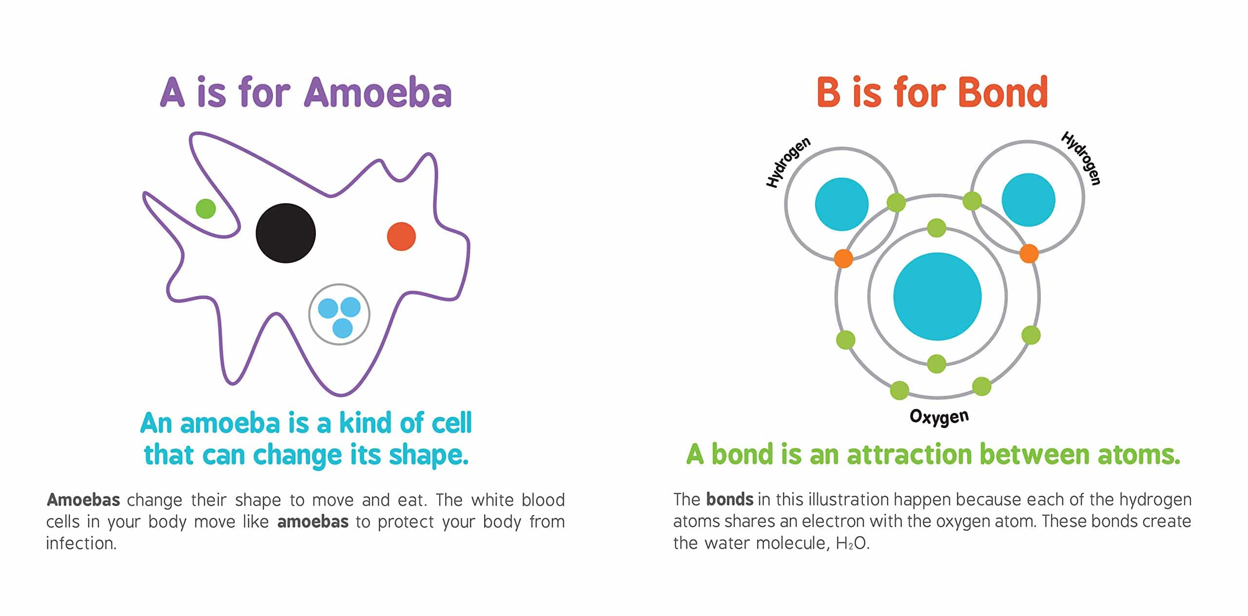ABCs of Science by Baby University 1
