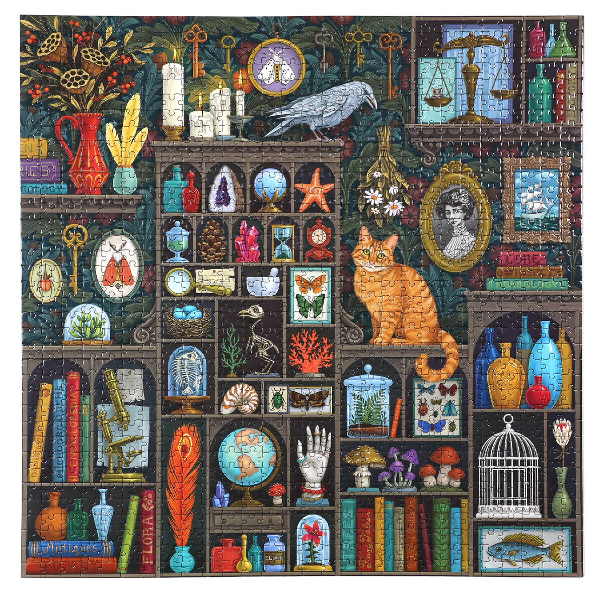 Alchemists Cabinet 1000pc Puzzle by eeBoo 2