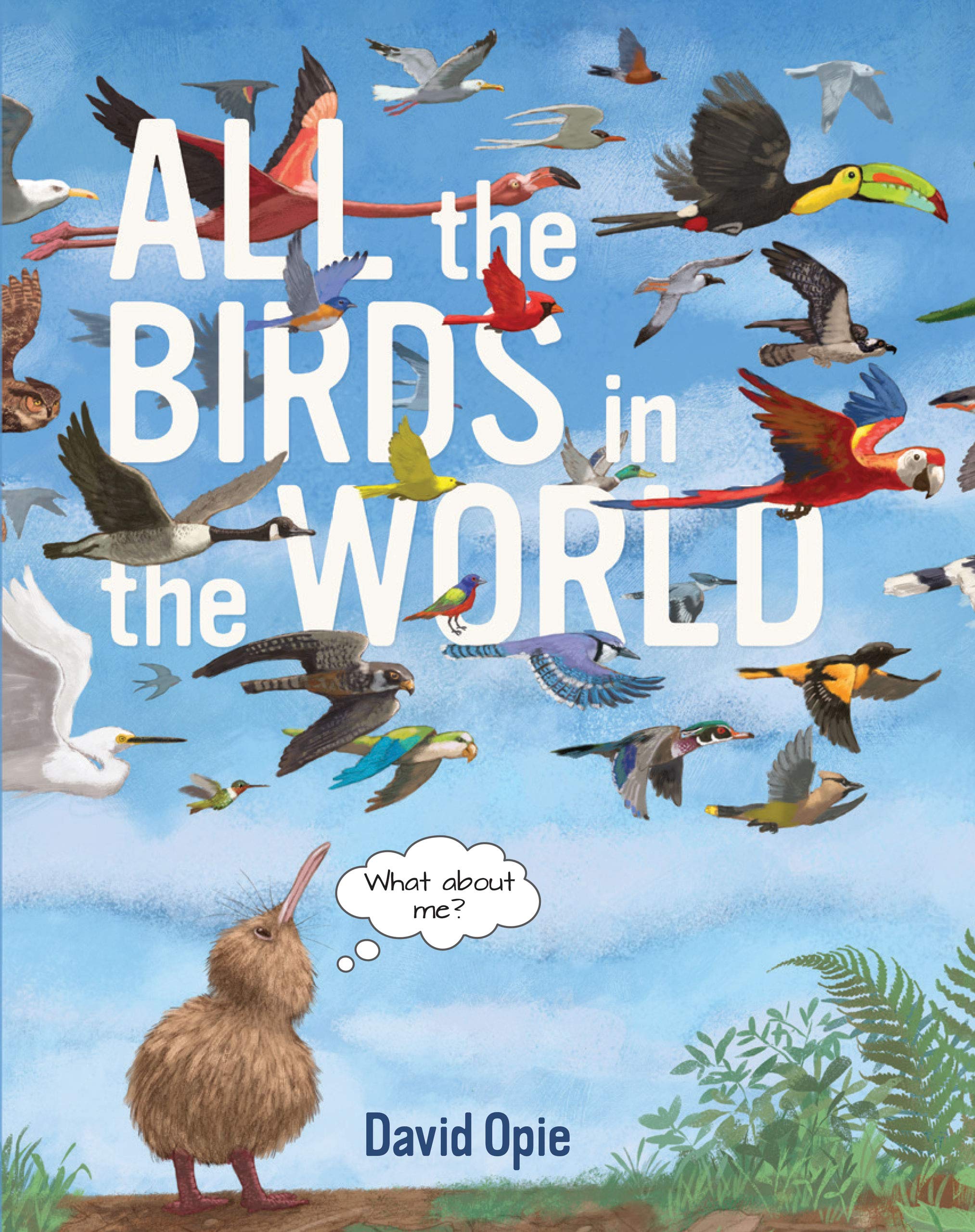 All the Birds in the World – A2Z Science & Toys