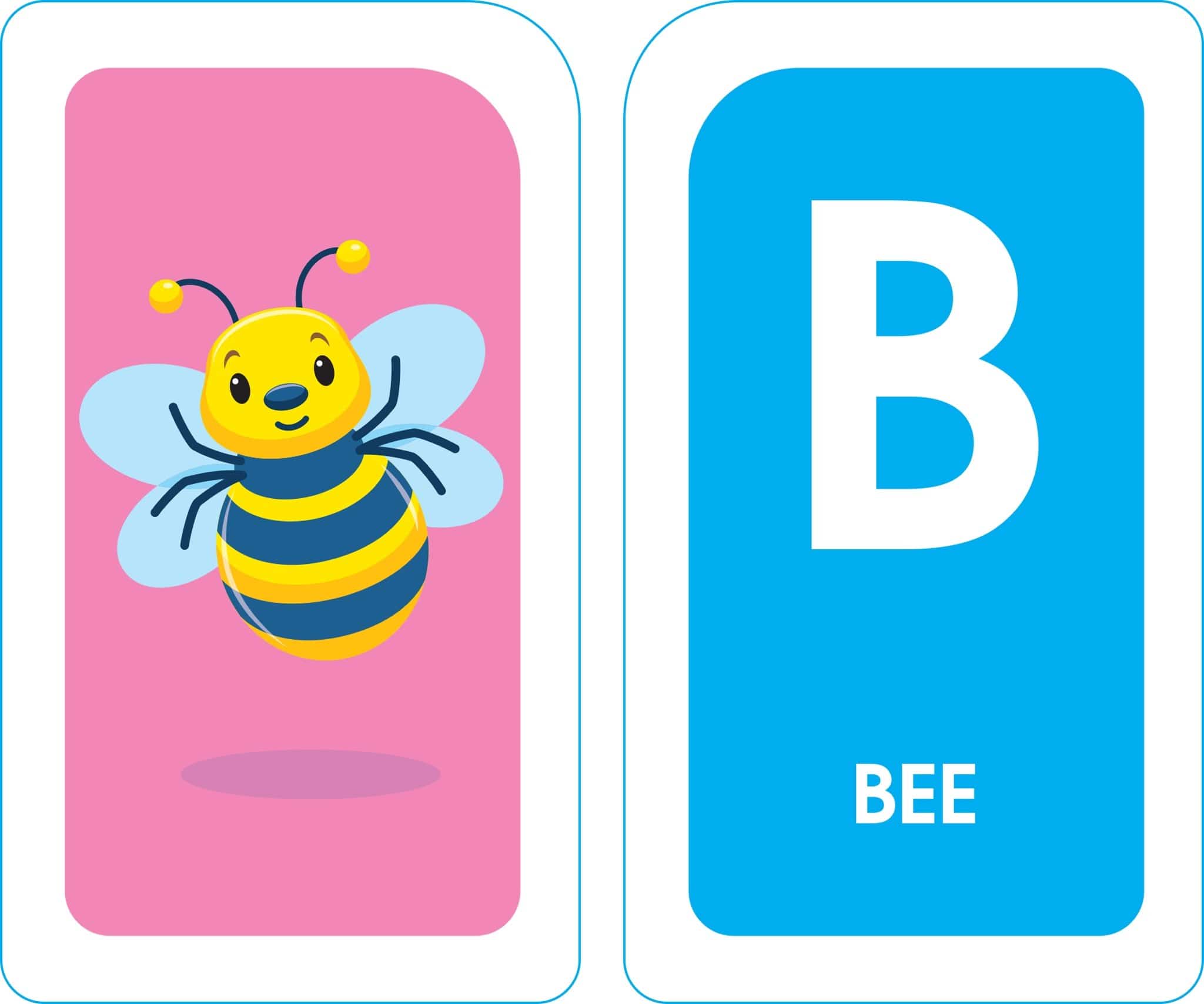 Alphabet Flash Cards by School Zone 3