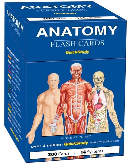 Anatomy Flash Cards by BarCharts