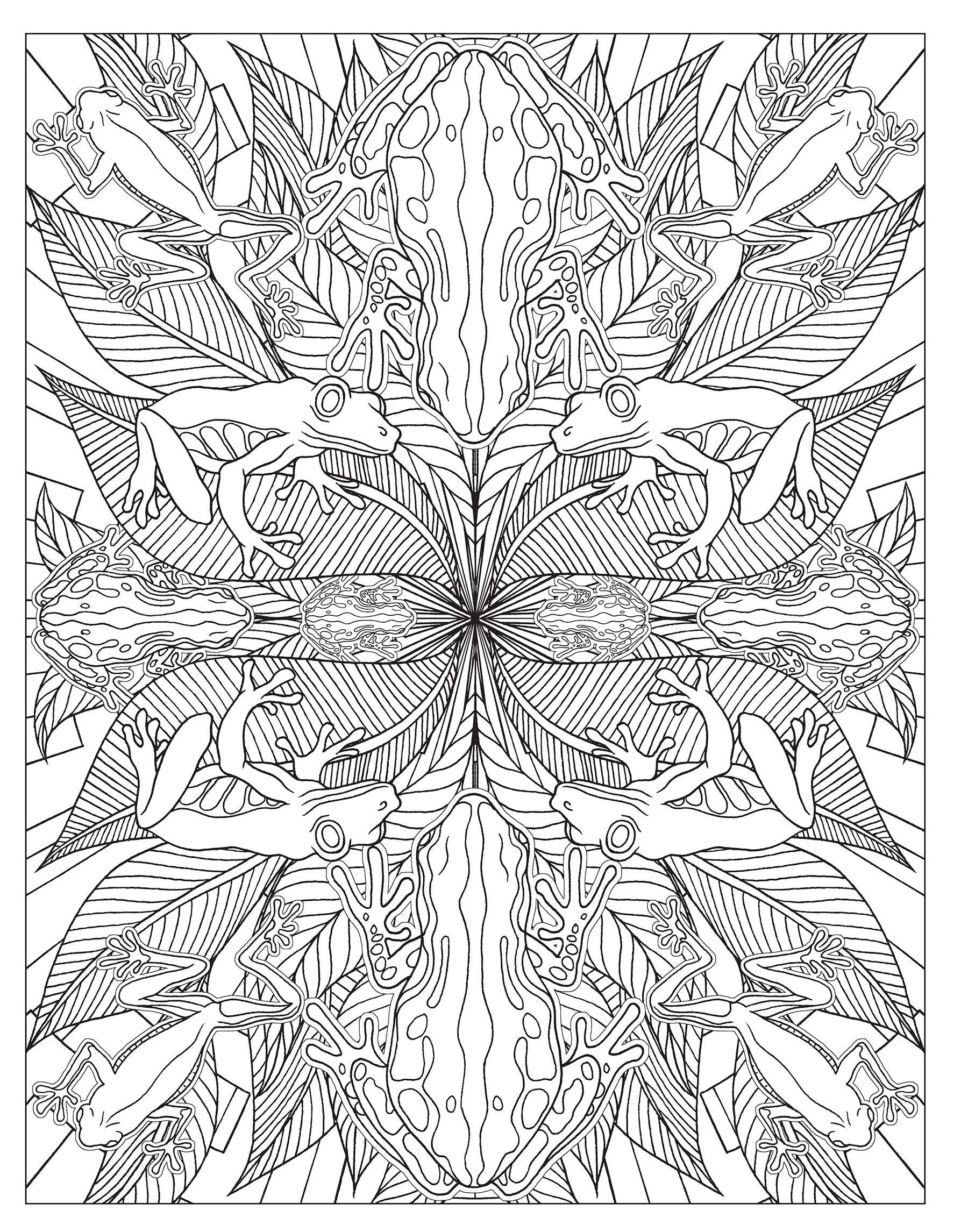 Animal Kaleidoscope Designs Coloring Book by Dover Publications 1