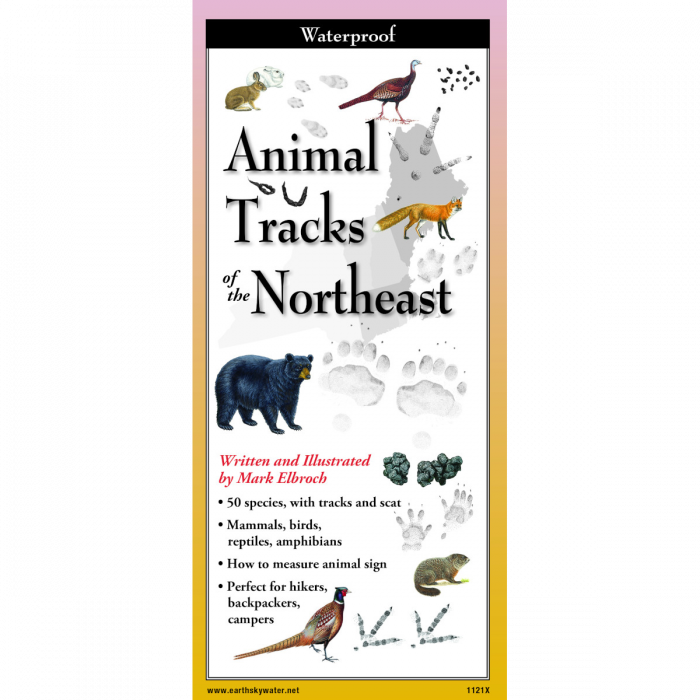 Animal Tracks of the Northeast by Earth Sky Water
