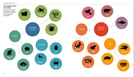 Animals by the Numbers A Book of Infographics by Houghton Mifflin 1
