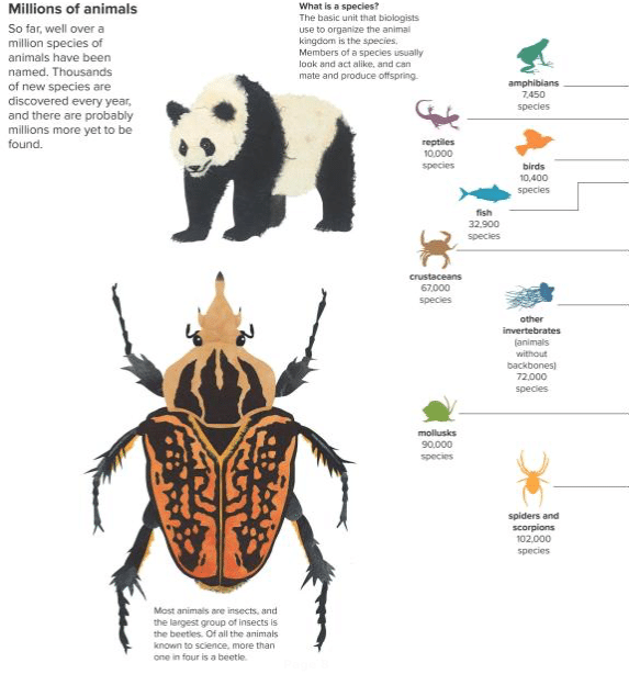 Animals by the Numbers A Book of Infographics by Houghton Mifflin 3