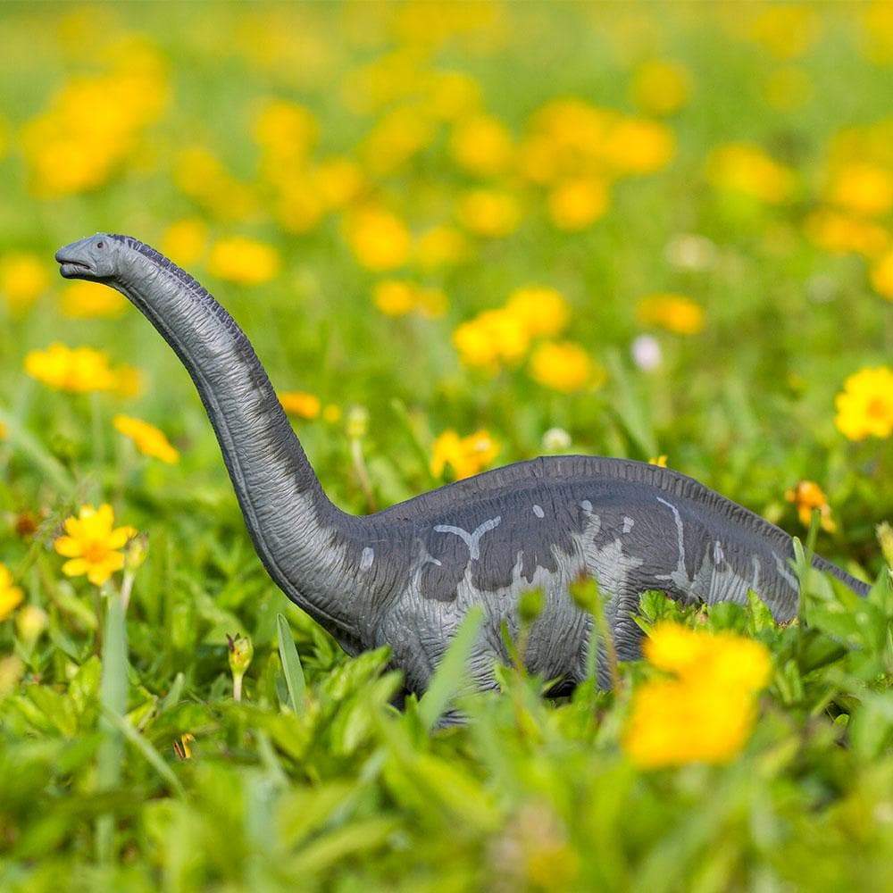 Apatosaurus Figure by Safari 5