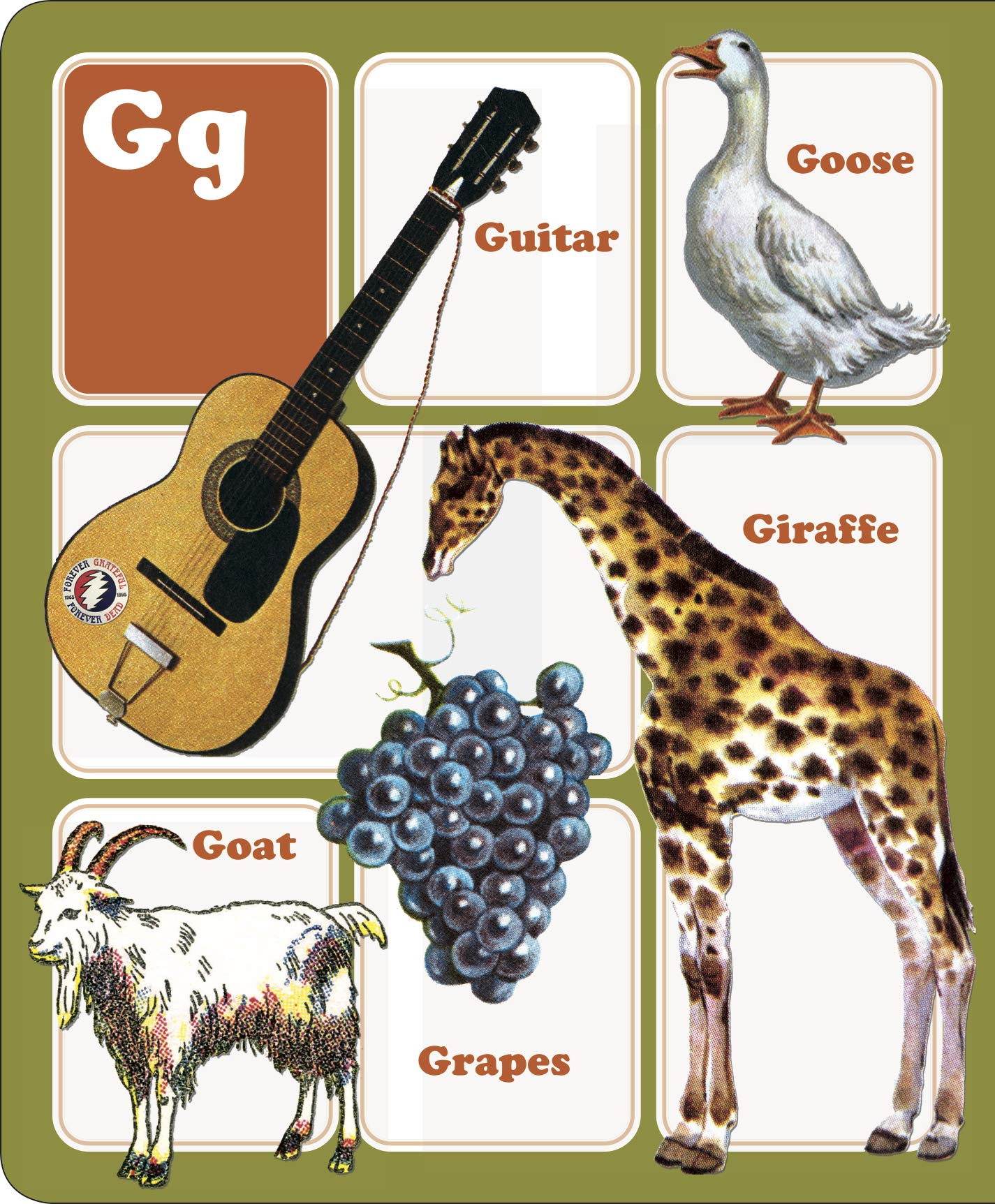 Apples to Zeppelin A Rockin ABC for Cool Kids by Ingram 4