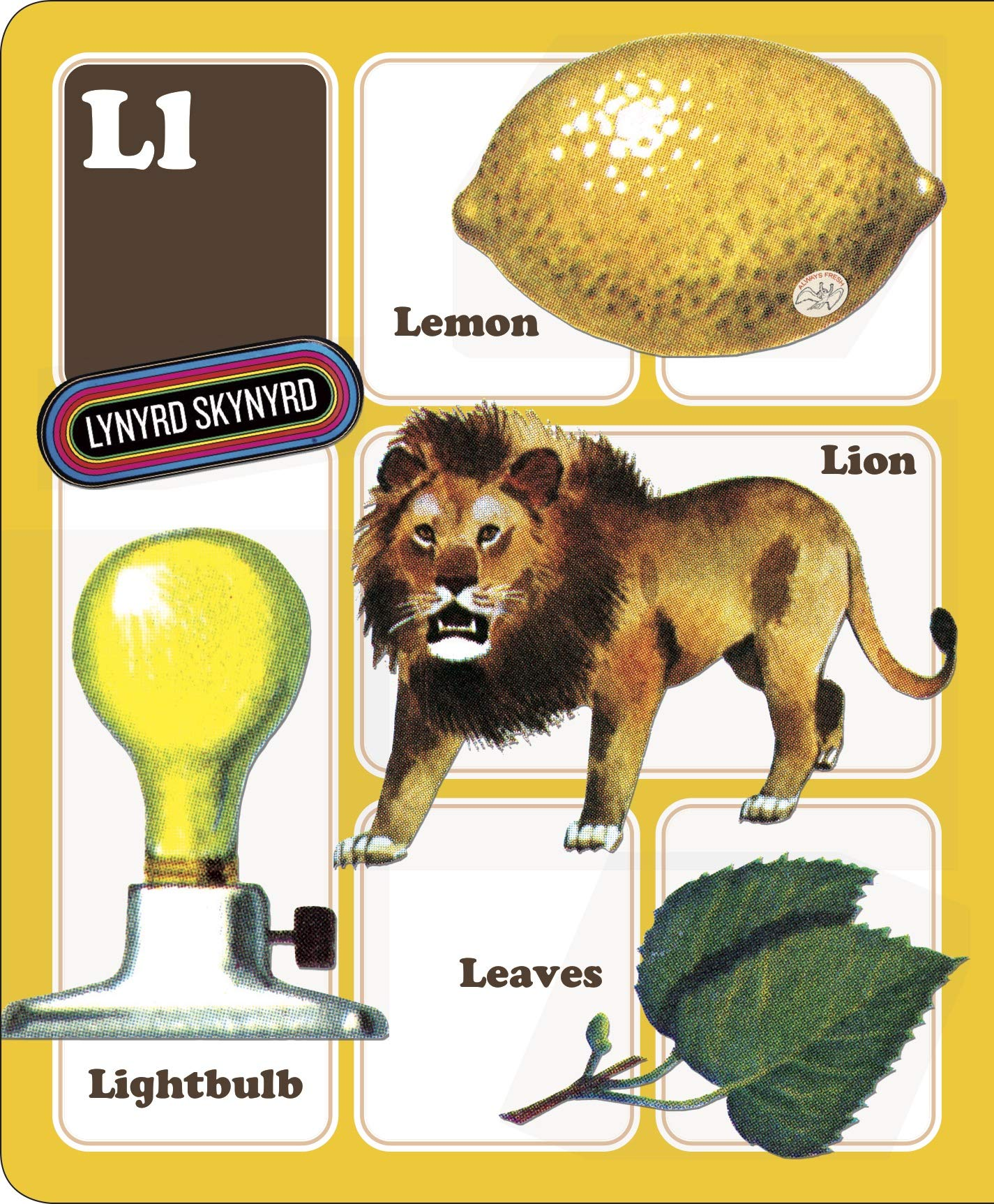 Apples to Zeppelin A Rockin ABC for Cool Kids by Ingram 6