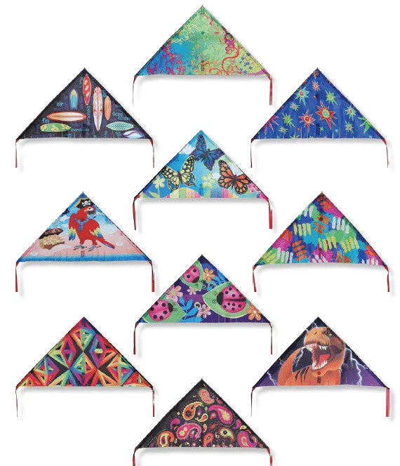 Assorted Mini Delta 12 Kites by Premier Kites