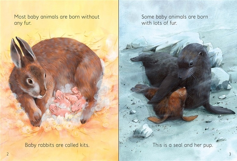 Baby Animals Usborne Beginners by Usborne 1