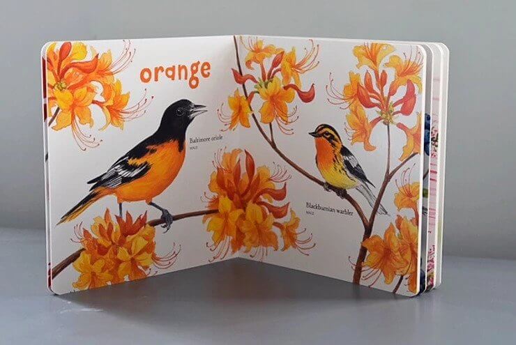 Babys First Book of Birds Colors by Charlesbridge 2
