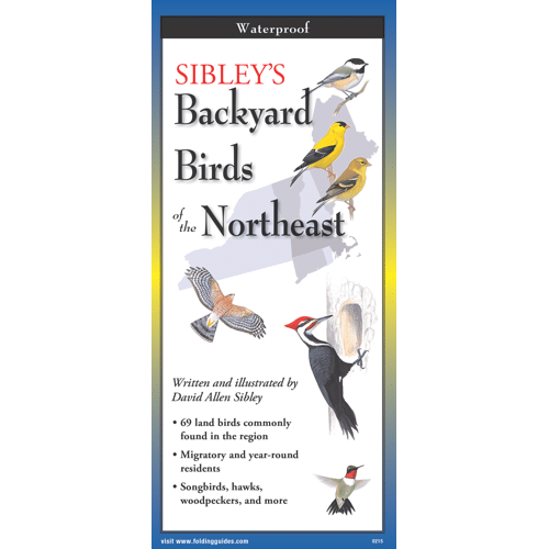 Backyard Birds of the Northeast by Earth Sky Water