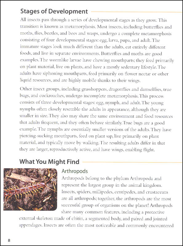 Backyard Bugs An Identification Guide to Common Insects Spiders and More by Adventure Publications 4