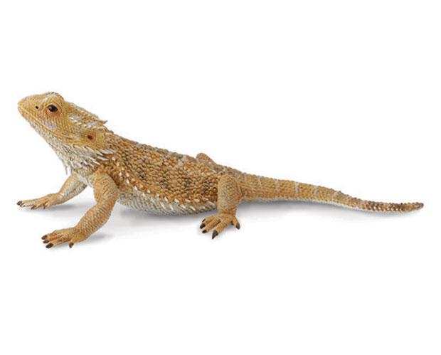 Bearded Dragon Figure by Collecta