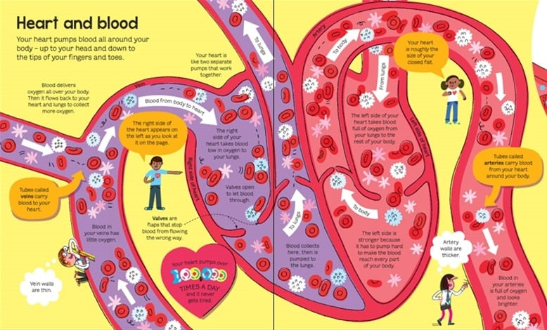 Big Book of the Body by Usborne 2