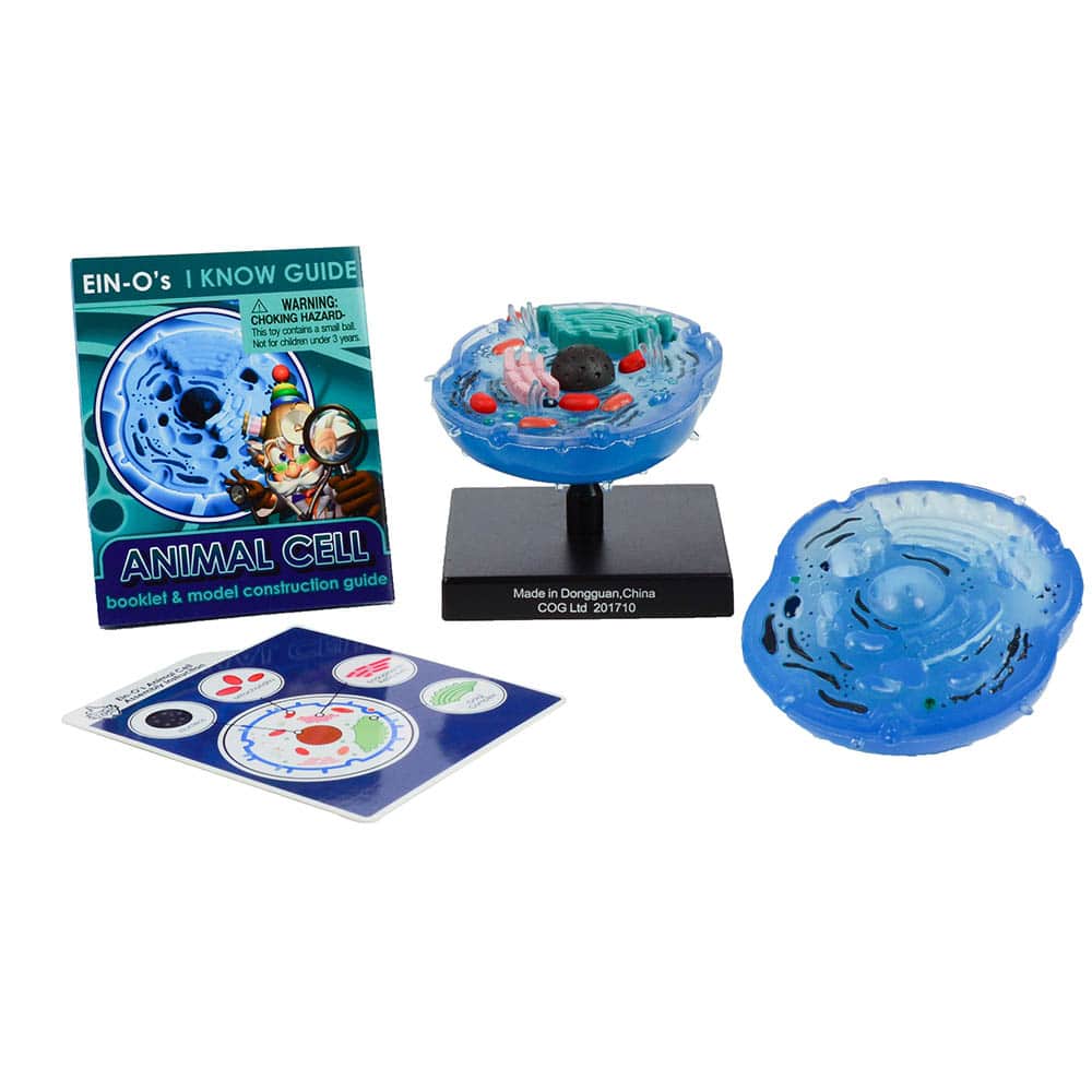 Bio Signs Animal Cell by TEDCO