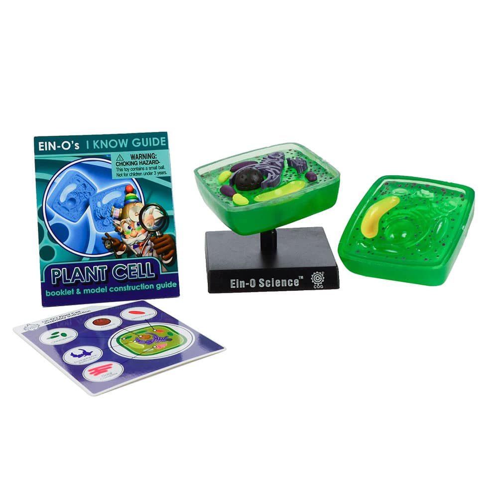 Bio Signs Plant Cell by TEDCO