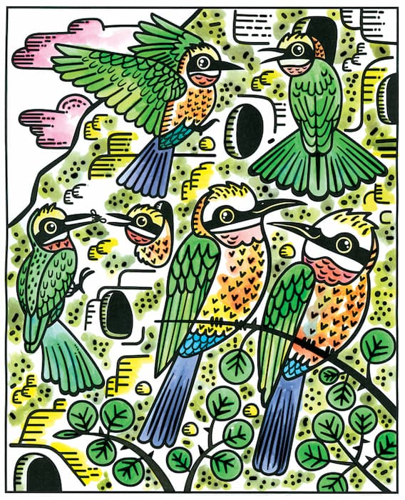 Birds Magic Painting Book by Usborne 3