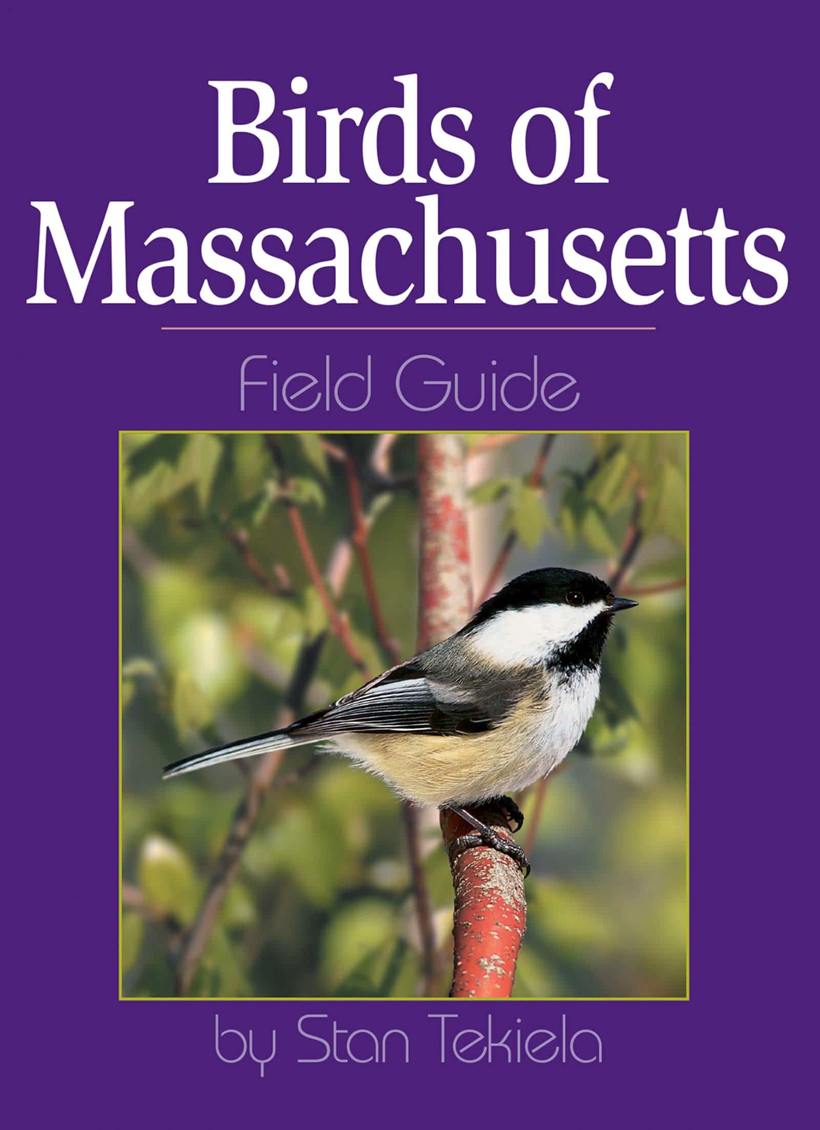 Birds of Massachusetts Field Guide by Adventure Keen