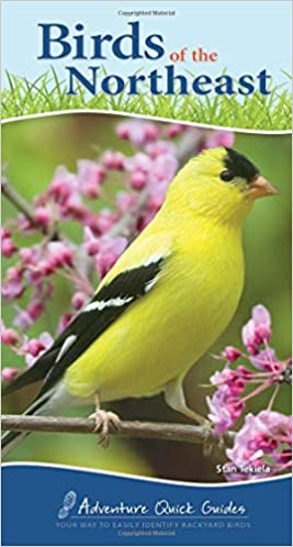 Birds of the Northeast Your Way to Easily Identify Backyard Birds by Adventure Publications