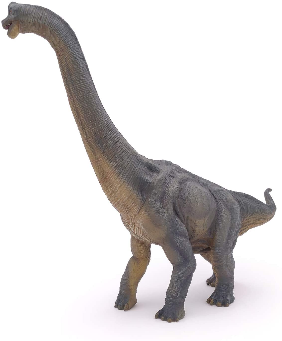 Brachiosaurus Figure by Papo 1