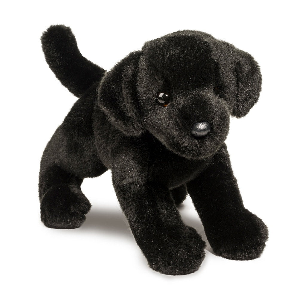 Brewster Black Lab by Douglas