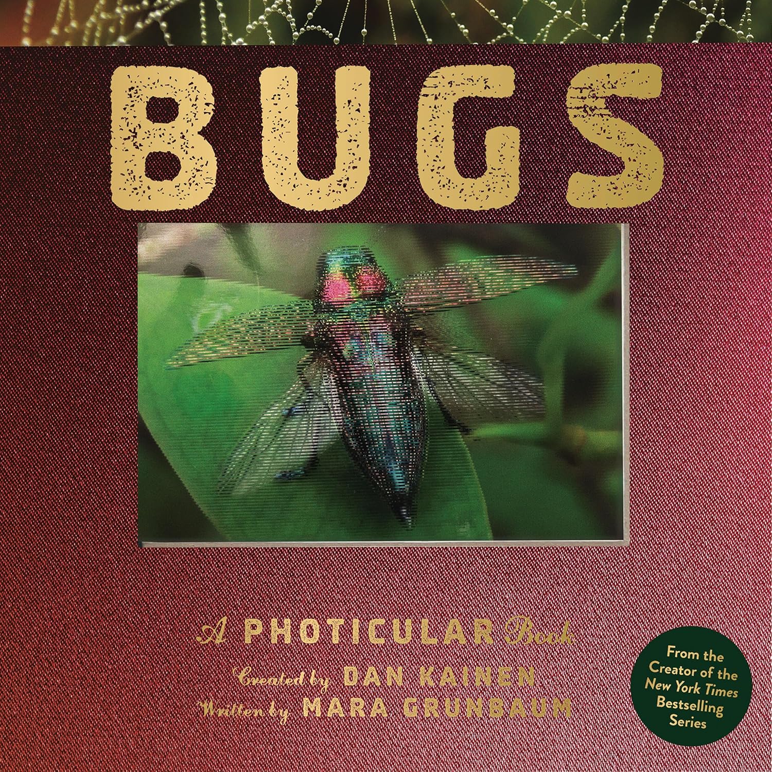 Bugs: A Photicular Book-by-Little Brown