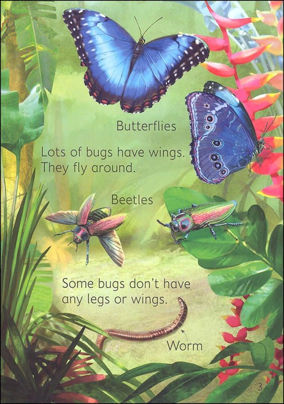 Bugs Usborne Beginners by Usborne 2