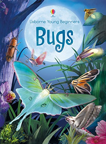 Bugs Usborne Beginners by Usborne