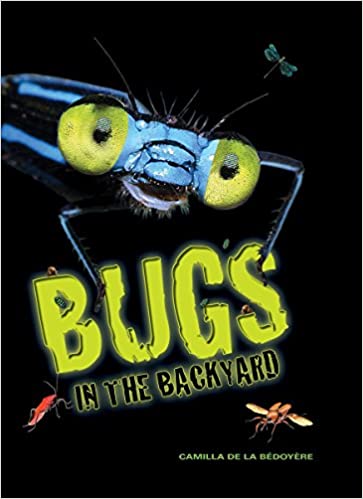 Bugs in the Backyard by Firefly Books