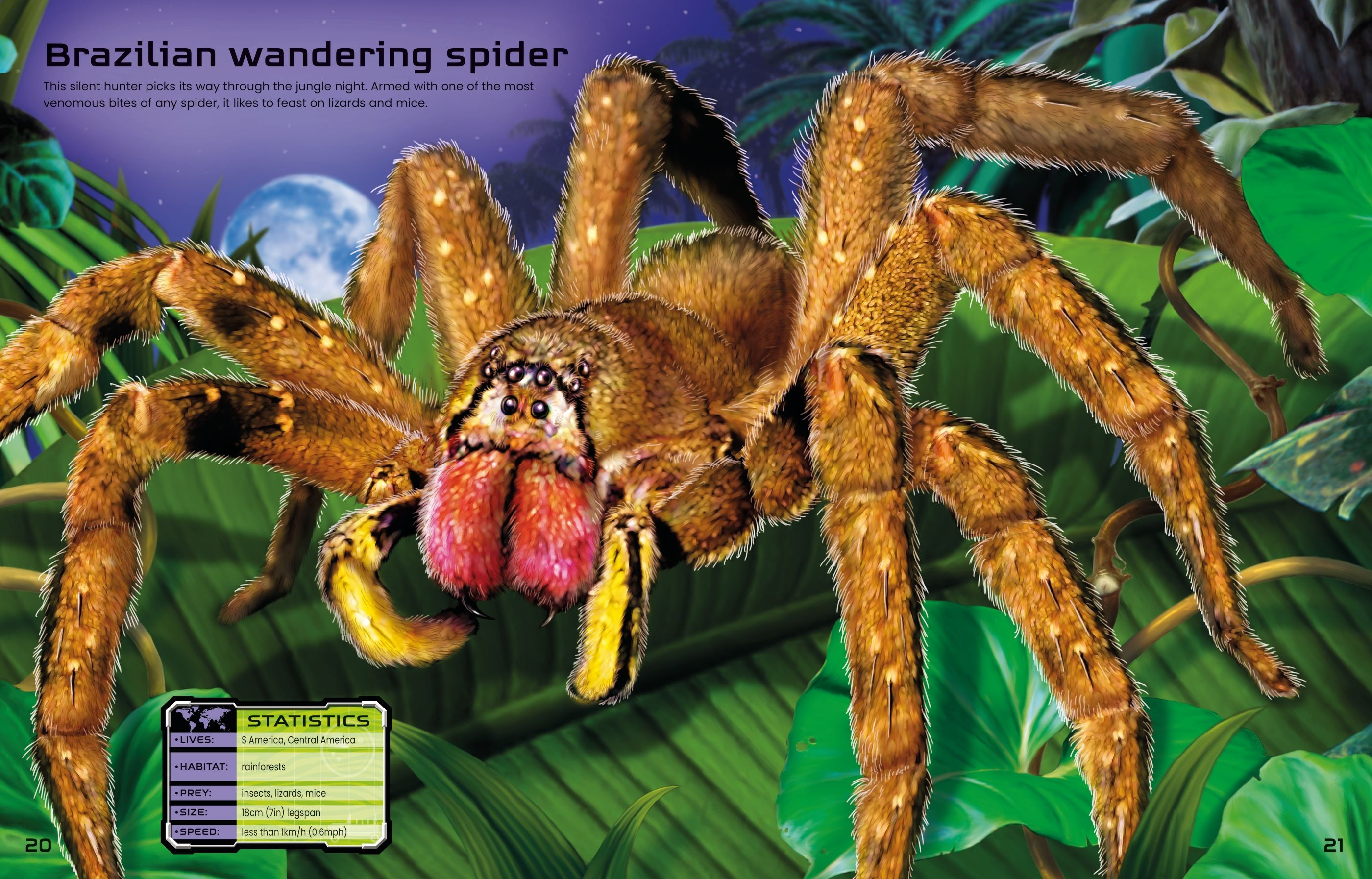 Build Your Own Deadly Animals Sticker Book by Usborne 1