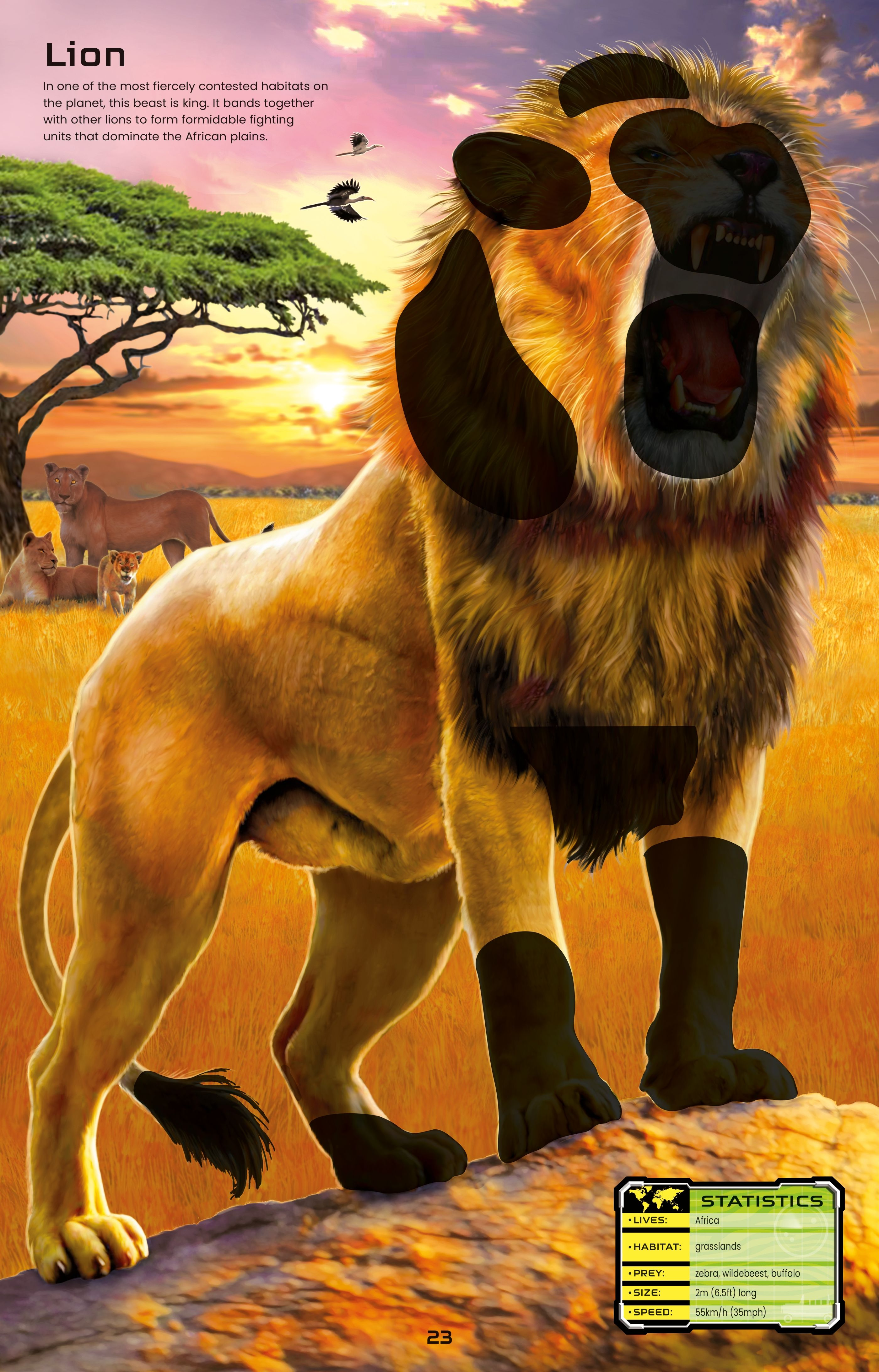 Build Your Own Deadly Animals Sticker Book by Usborne 4