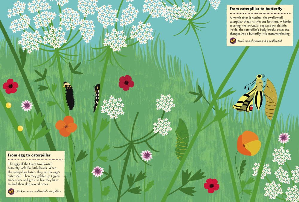 Butterflies of the World My Nature Sticker Activity Book by Princeton Architectural Press 1