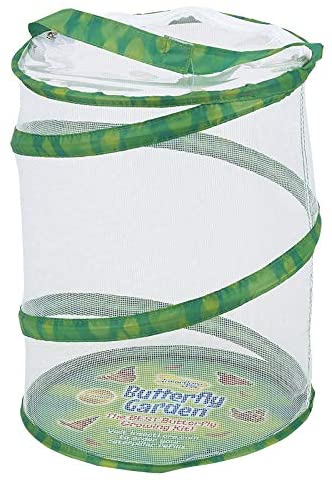 Butterfly Garden with Voucher by Insect Lore 2