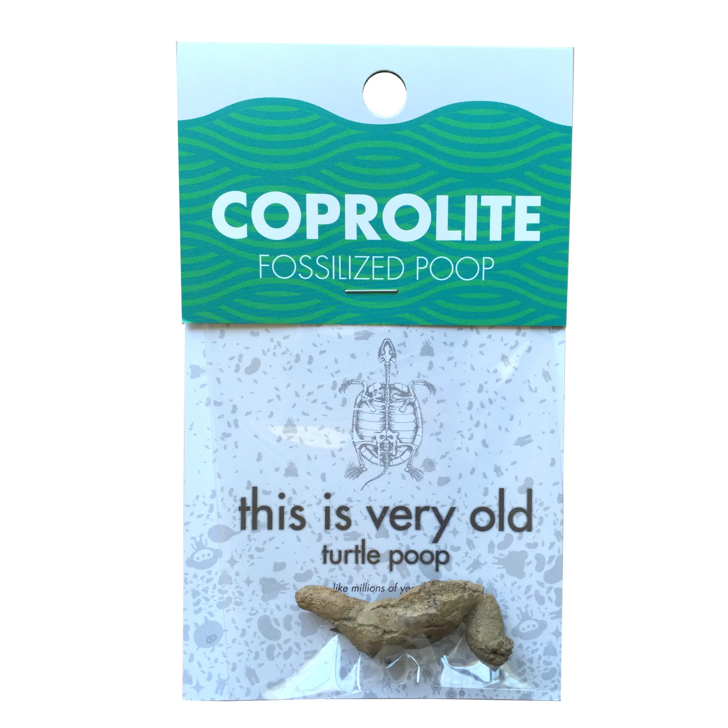COPROLITE (Fossilized Poop)-by-Copernicus