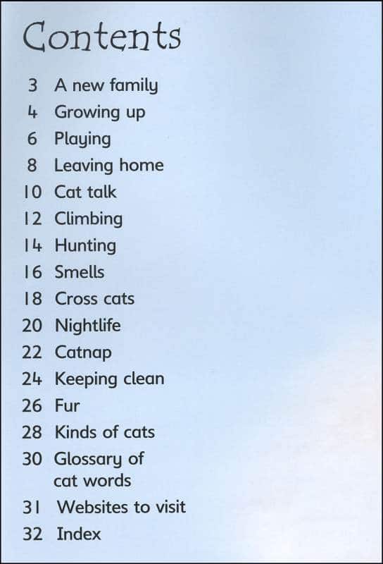 Cats Usborne Beginners by Usborne 1