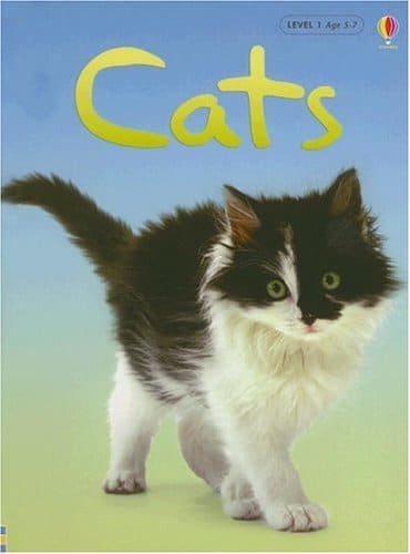 Cats Usborne Beginners by Usborne