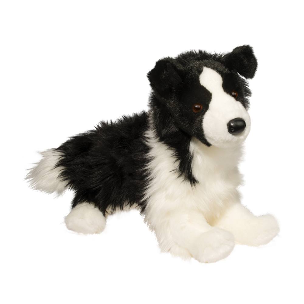 Chase Border Collie 16 by Douglas