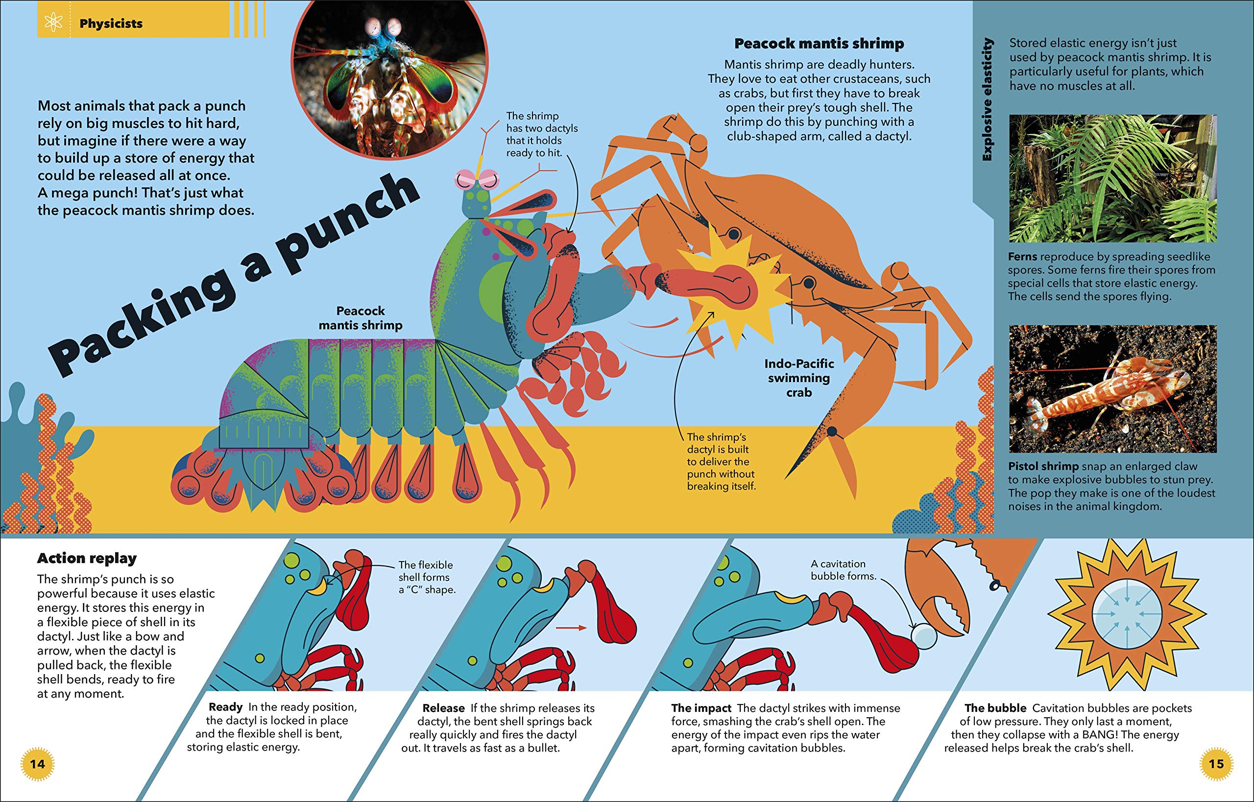 Clever Creatures How Animals and Plants Use Science to Survive by DK Publishing 1