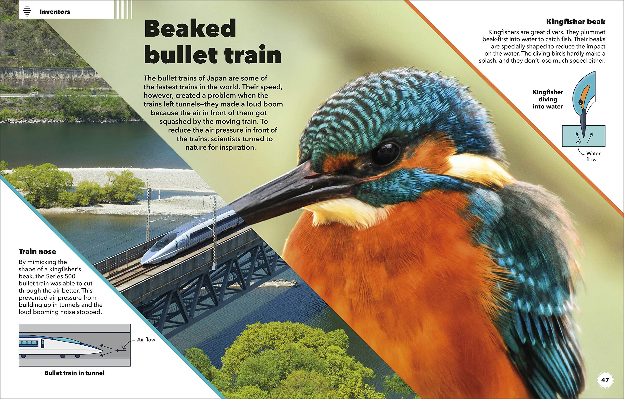 Clever Creatures How Animals and Plants Use Science to Survive by DK Publishing 3