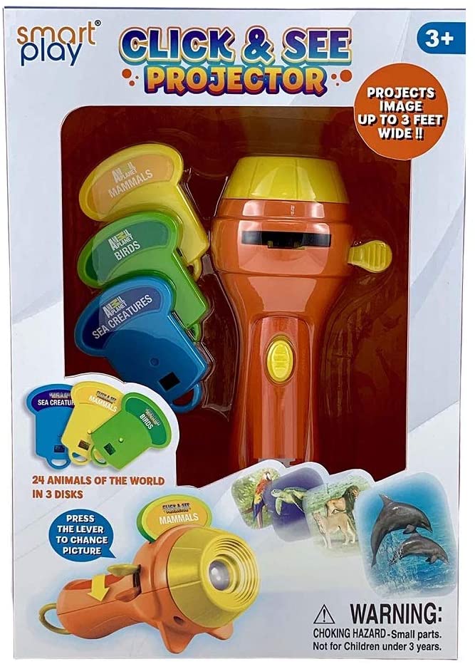 Click See Projector by Smart Play
